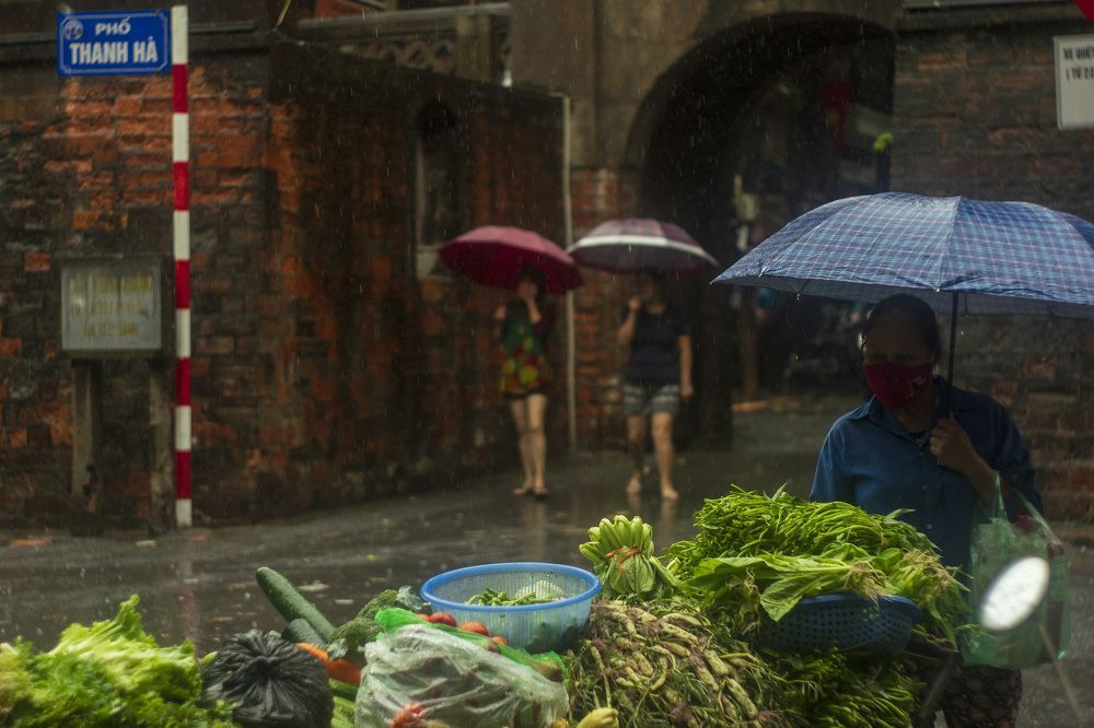 Фотография автора Tuan Guitare