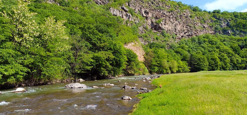 Photograph by Alex Kalpus