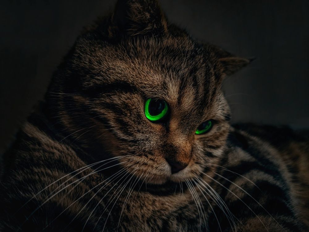 Photograph by Денис Шамров