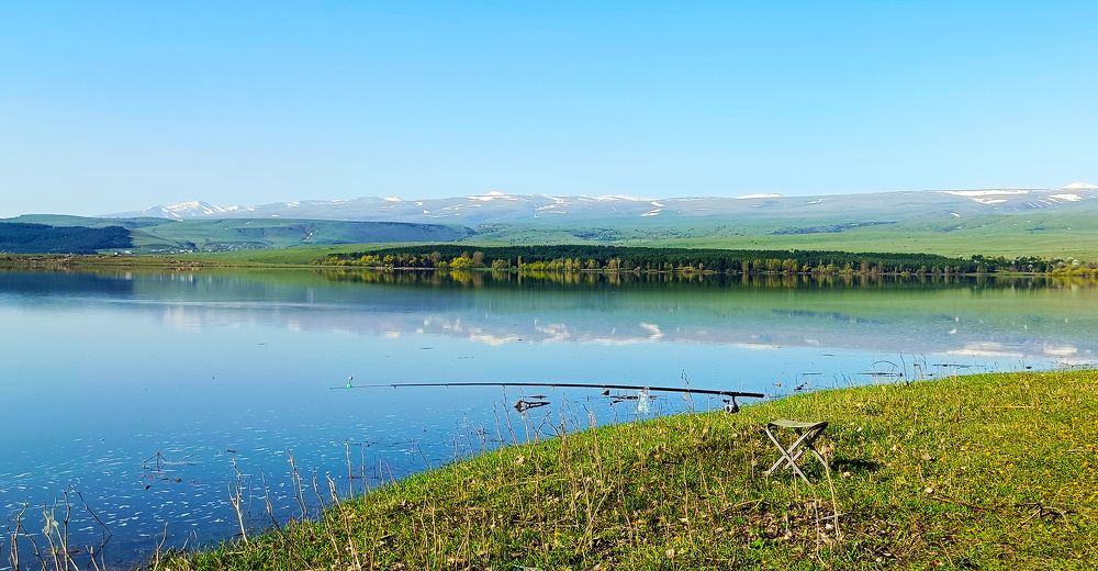 Photograph by Alex Kalpus