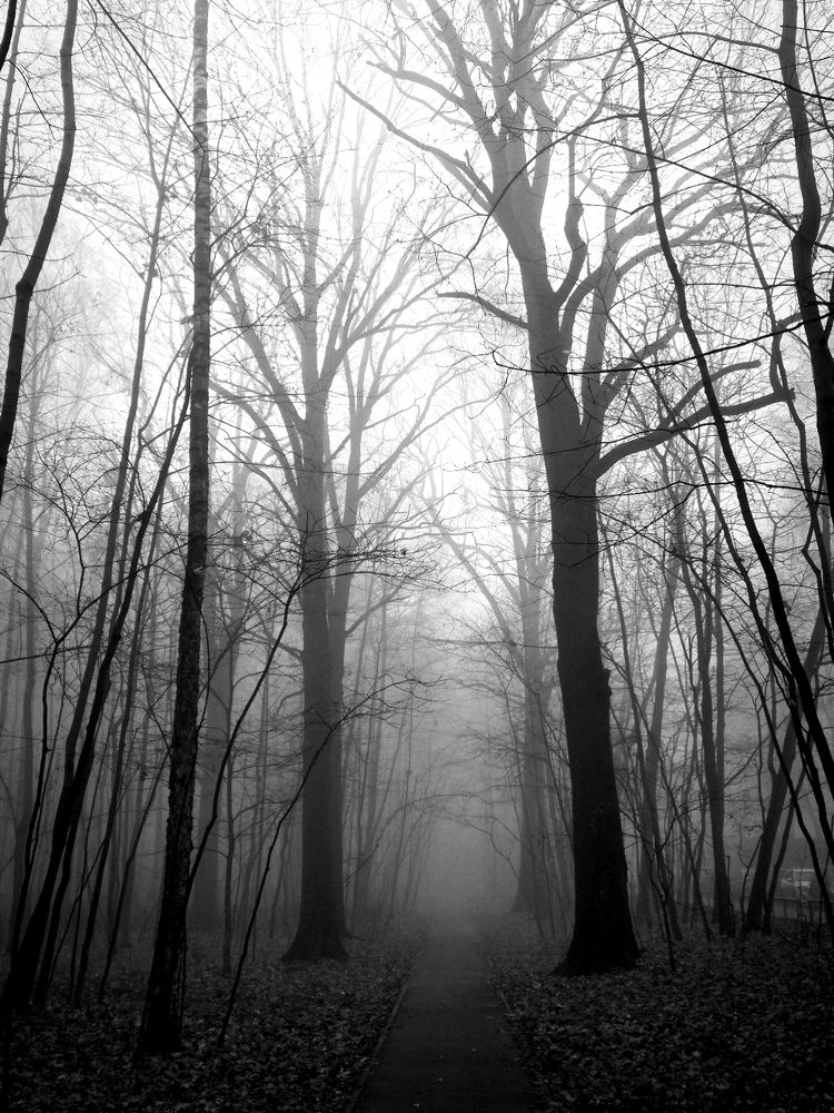 Photograph by Eлена Смирнова