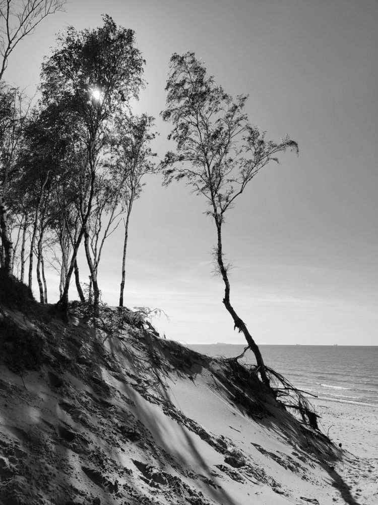 Photograph by Иван