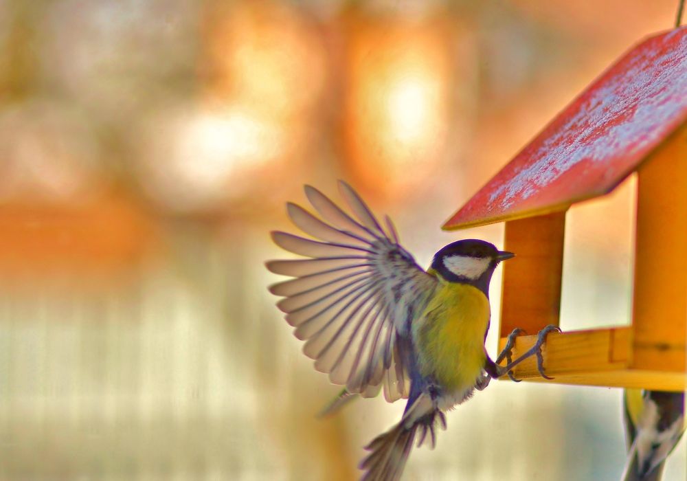 Photograph by Elena Makarova