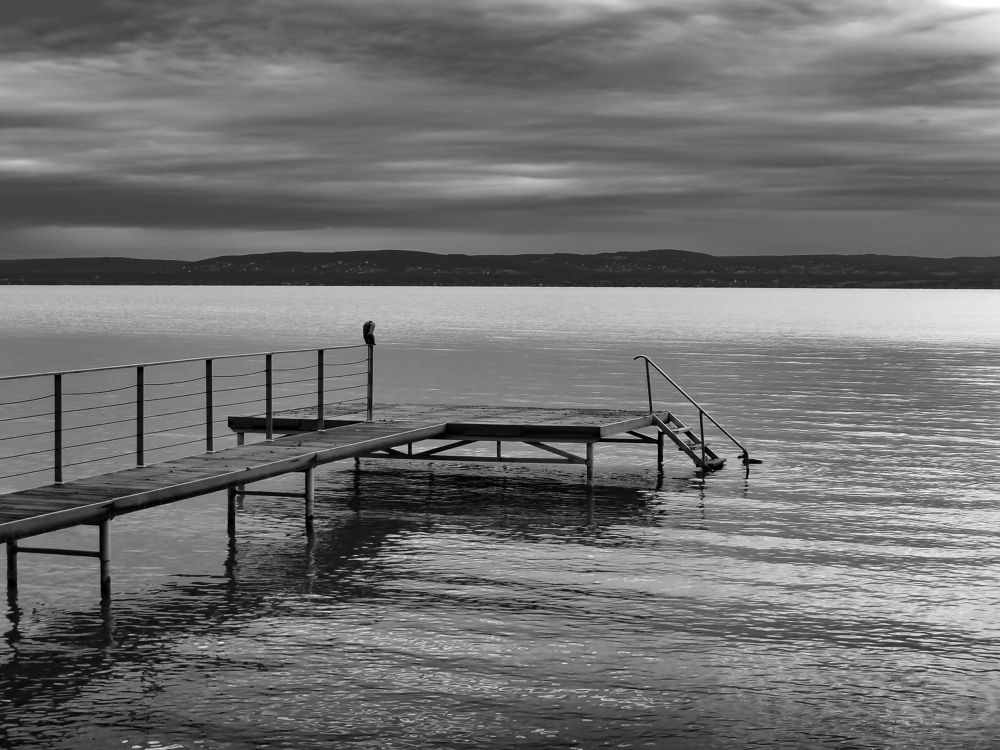 Фотография автора Nomin Jerabek