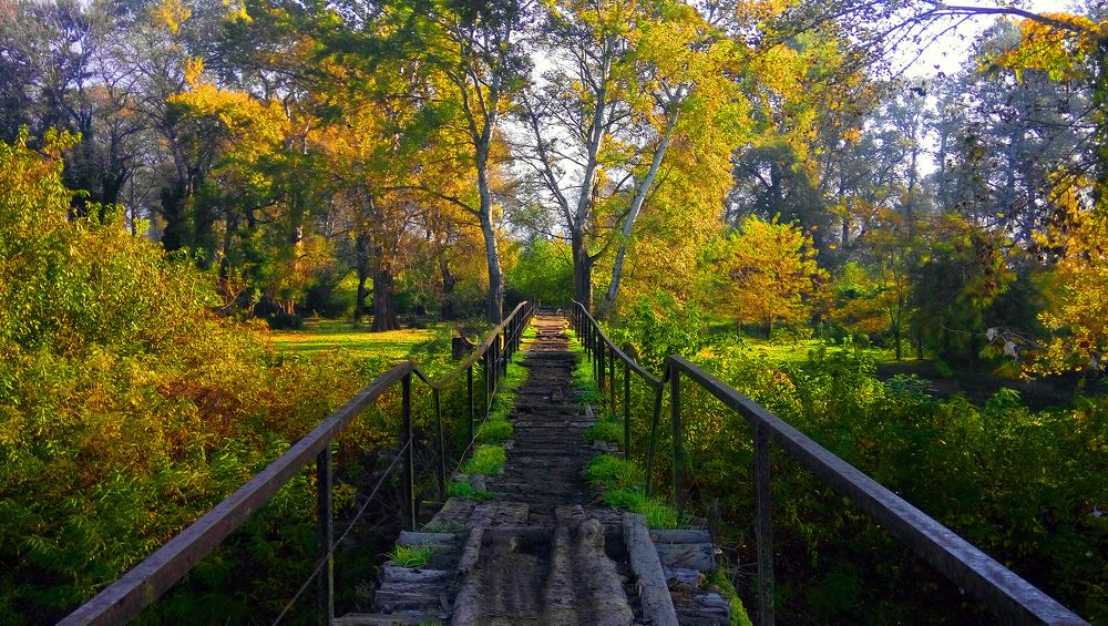 Photograph by Alex Kalpus