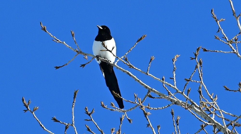 Photograph by Сергей Зубов