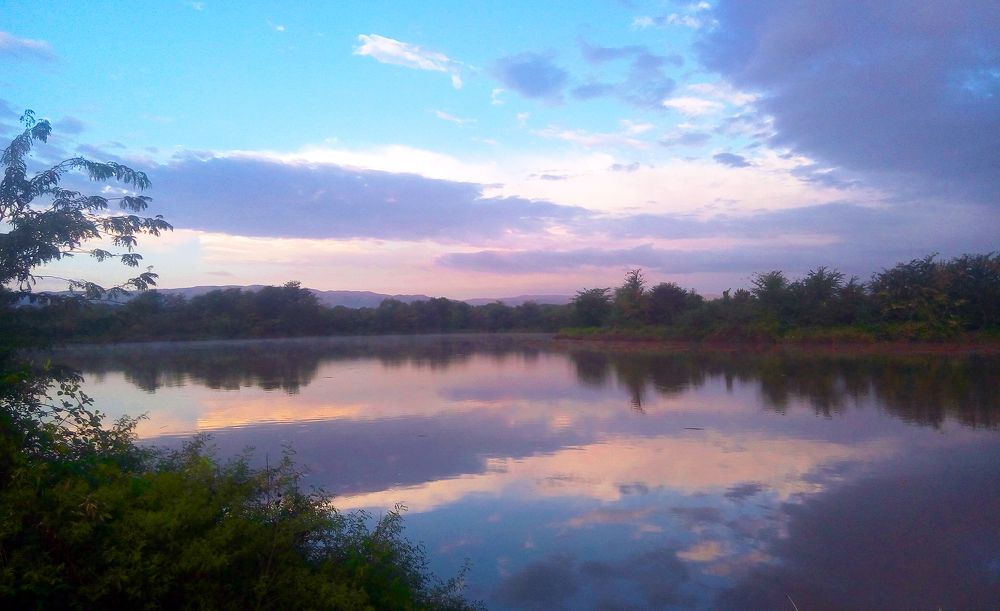 Photograph by Alex Kalpus