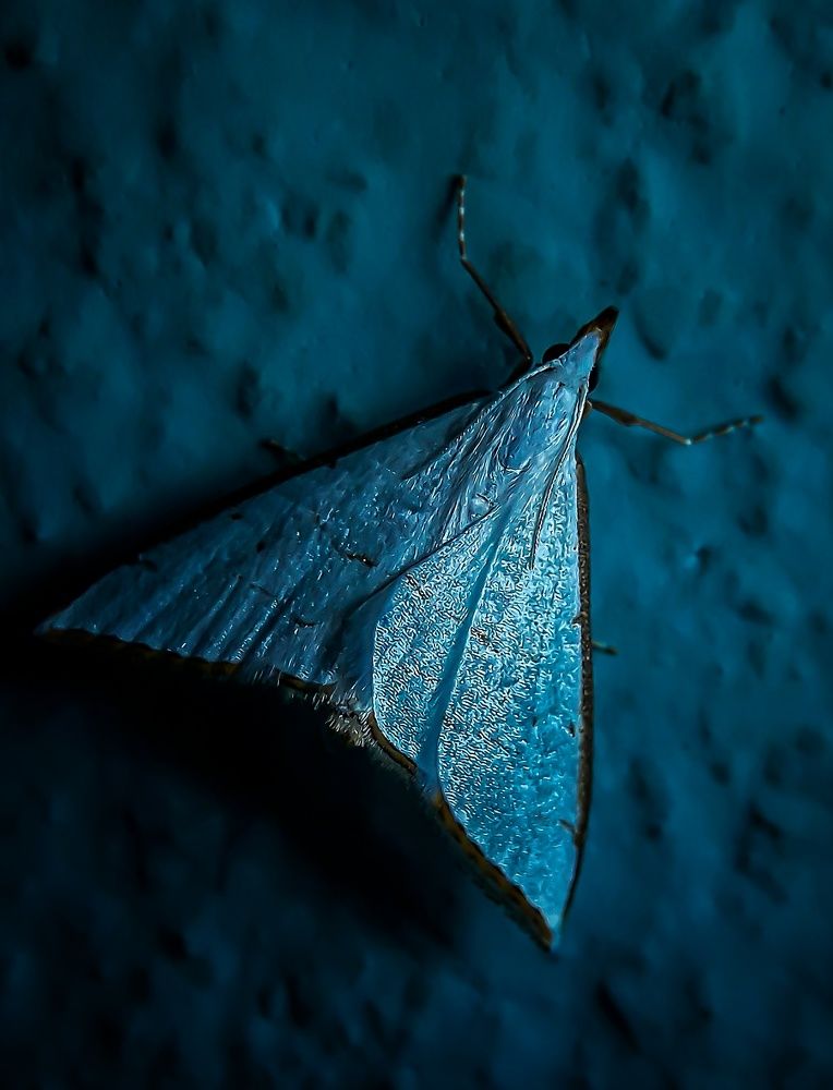 Photograph by Shubhra Das