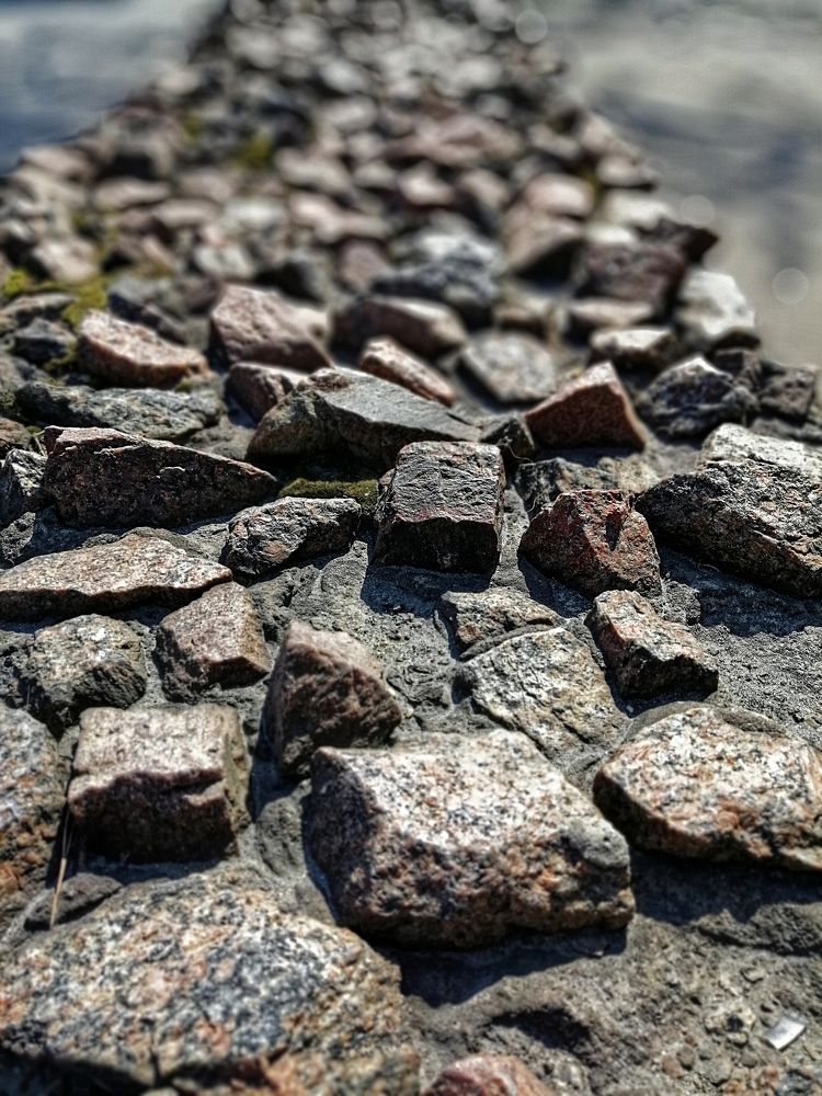 Photograph by LABORANT