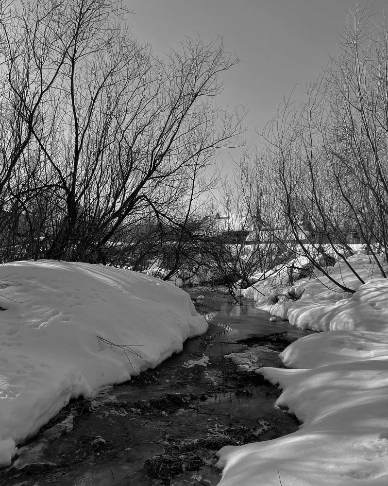 Photograph by Маргарита