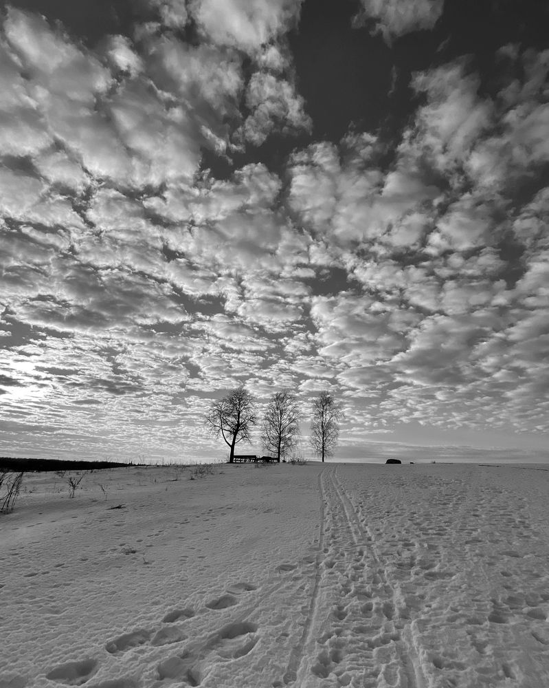 Photograph by Маргарита