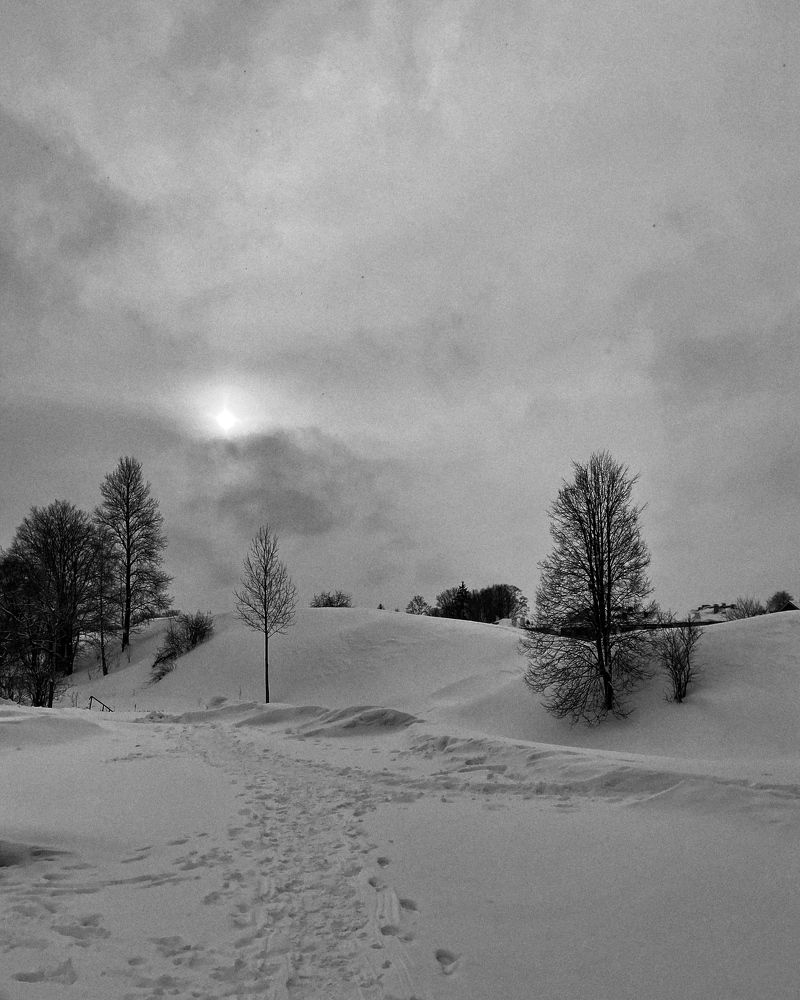 Photograph by Маргарита