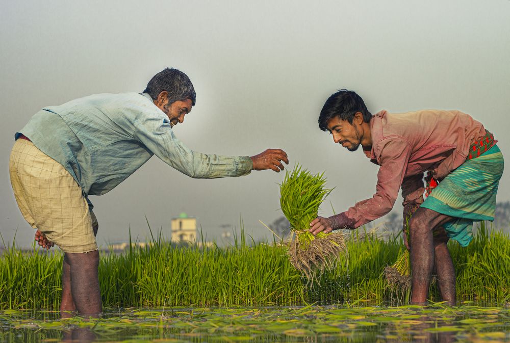 Photograph by Badhan Dhar