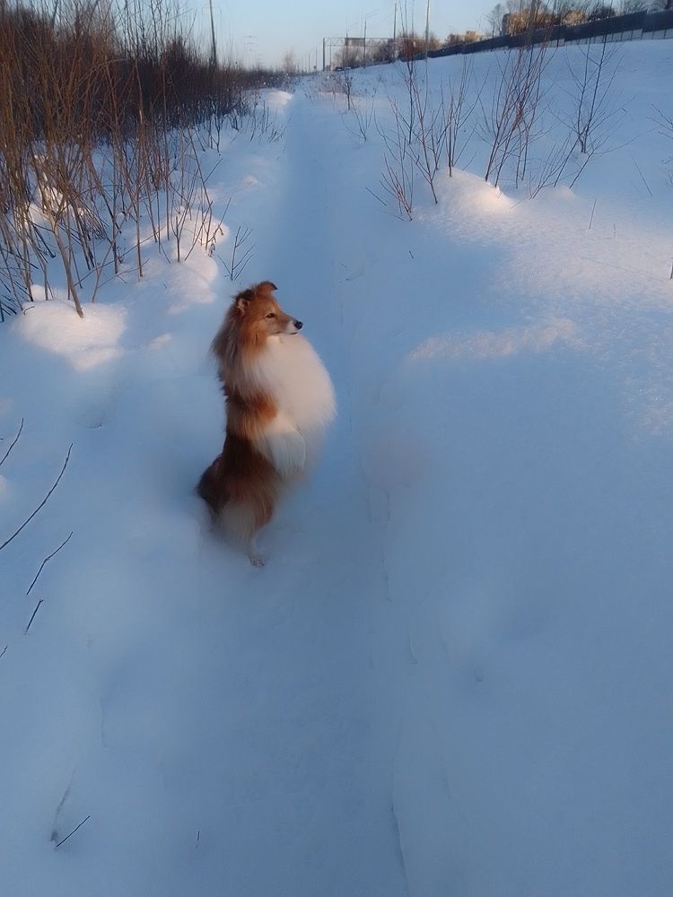 Photograph by Елена Любимцева