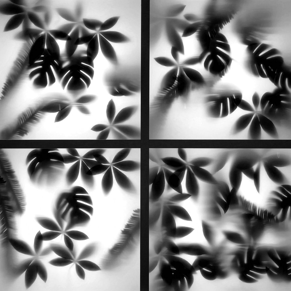 Photograph by Александр Фокин