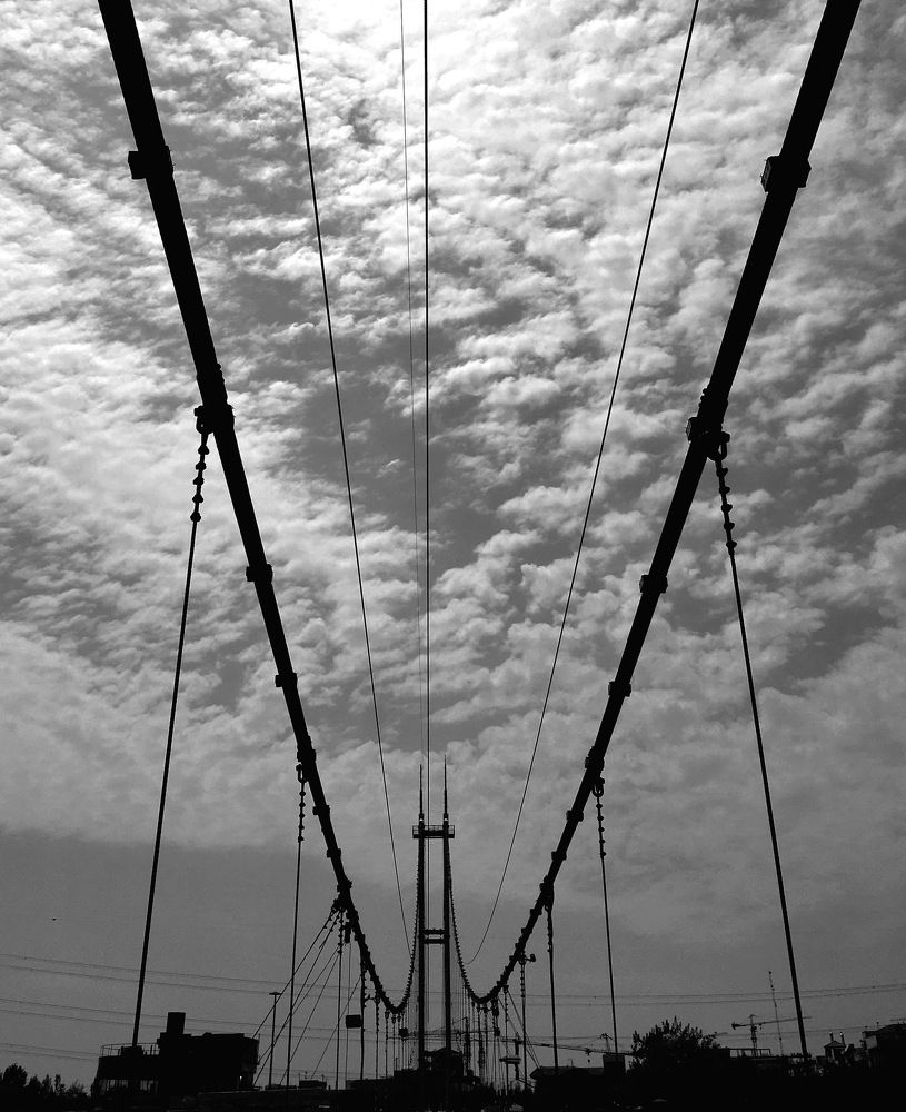Photograph by Elham Elshah