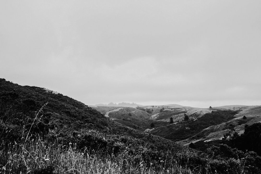 Photograph by Sophia Nasyrova