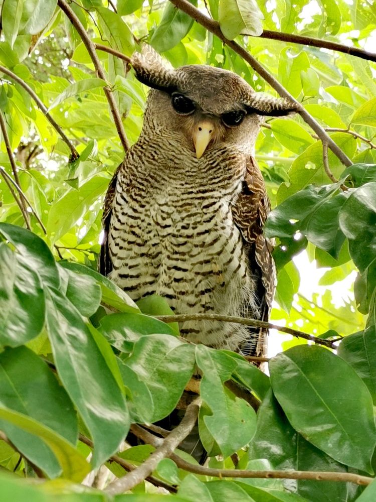 Photograph by Chunhou Poon