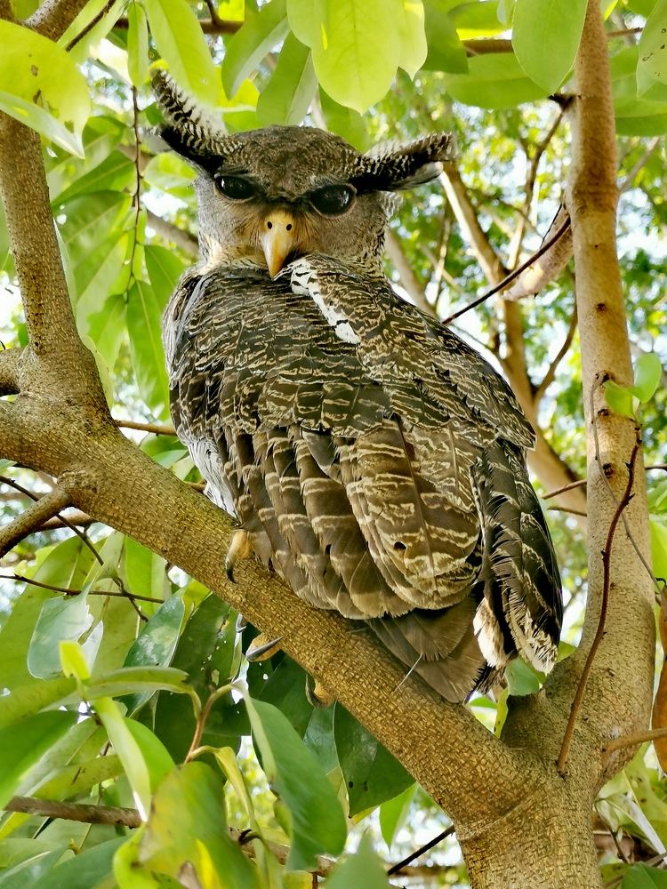 Photograph by Chunhou Poon