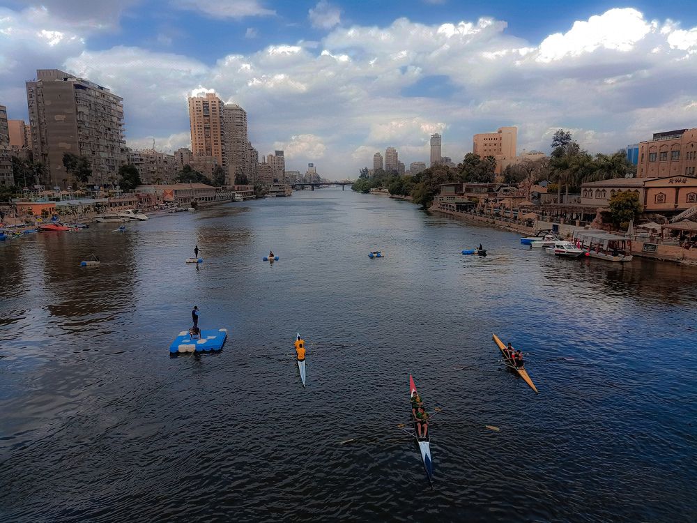 Rowing in Egypt