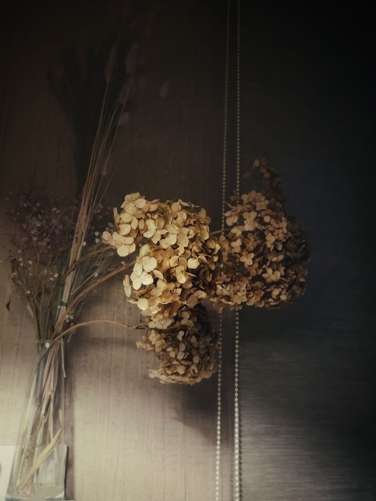 Photograph by Ирина Секачева