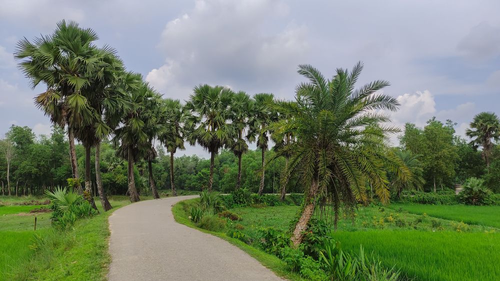 Photograph by Akbor Hossain Asif