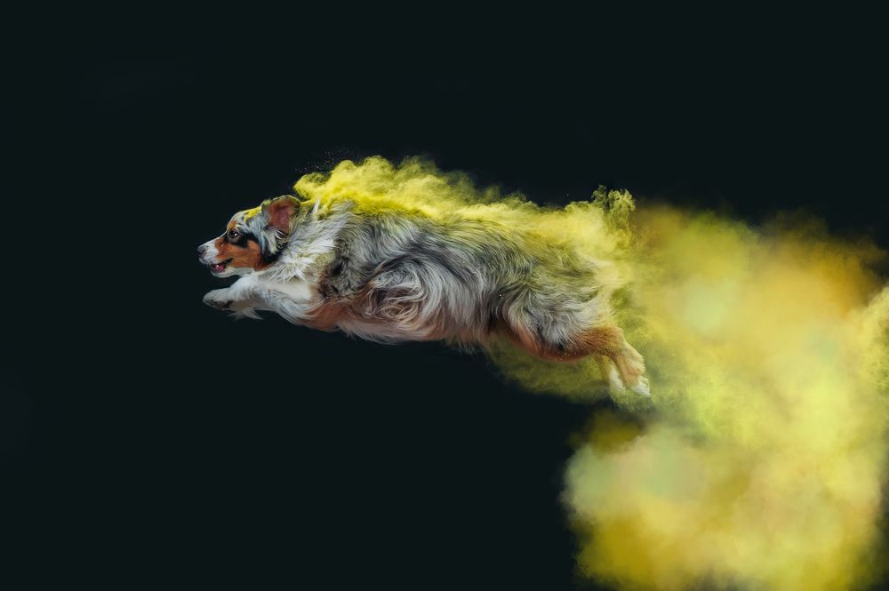 Photograph by Шиянова Ольга