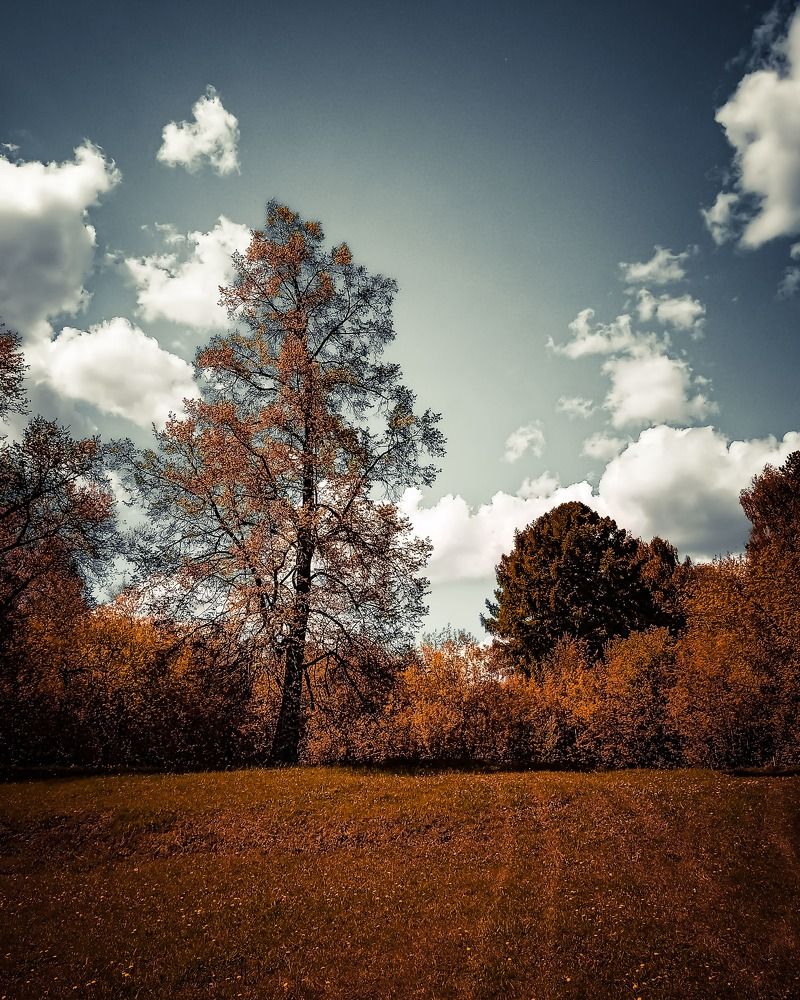 Photograph by Алекс