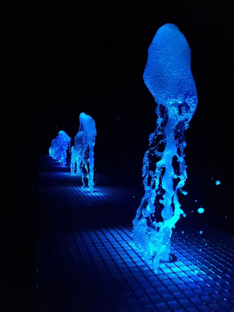 Photograph by Анастасия Терещенко