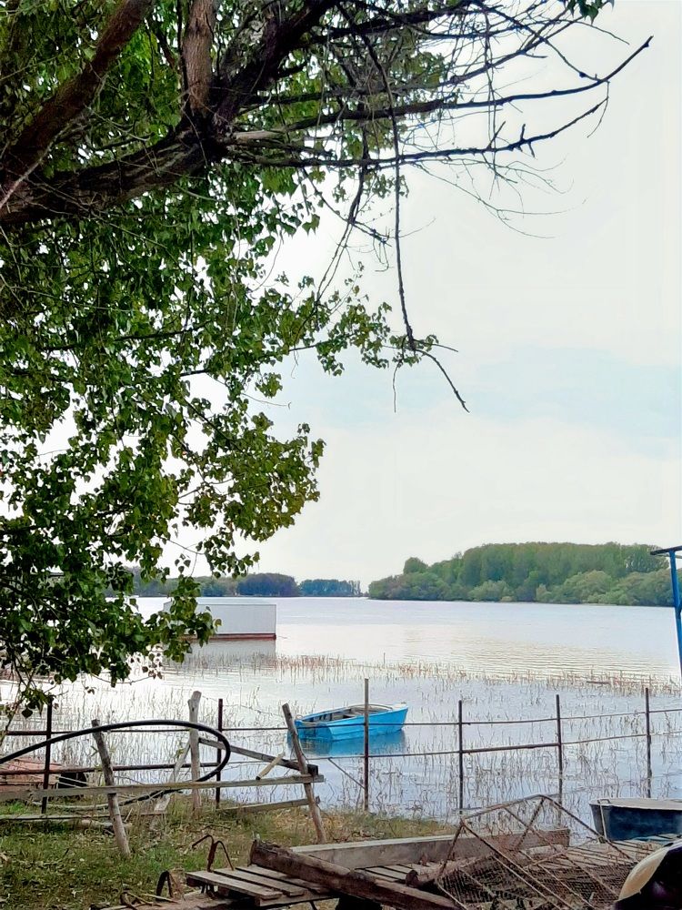 Photograph by Анастасия Терещенко