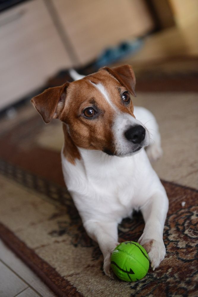 Photograph by Андрей Мозговой