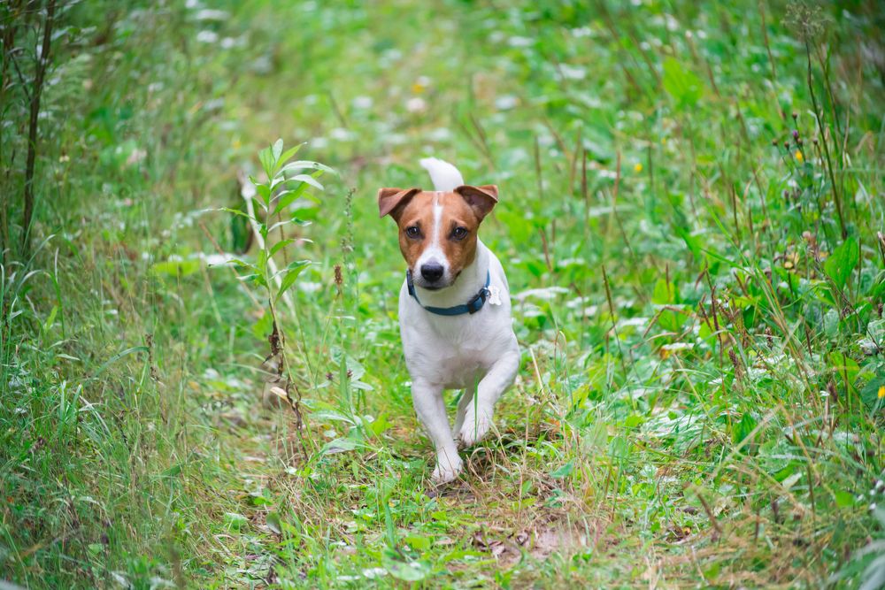 Photograph by Андрей Мозговой