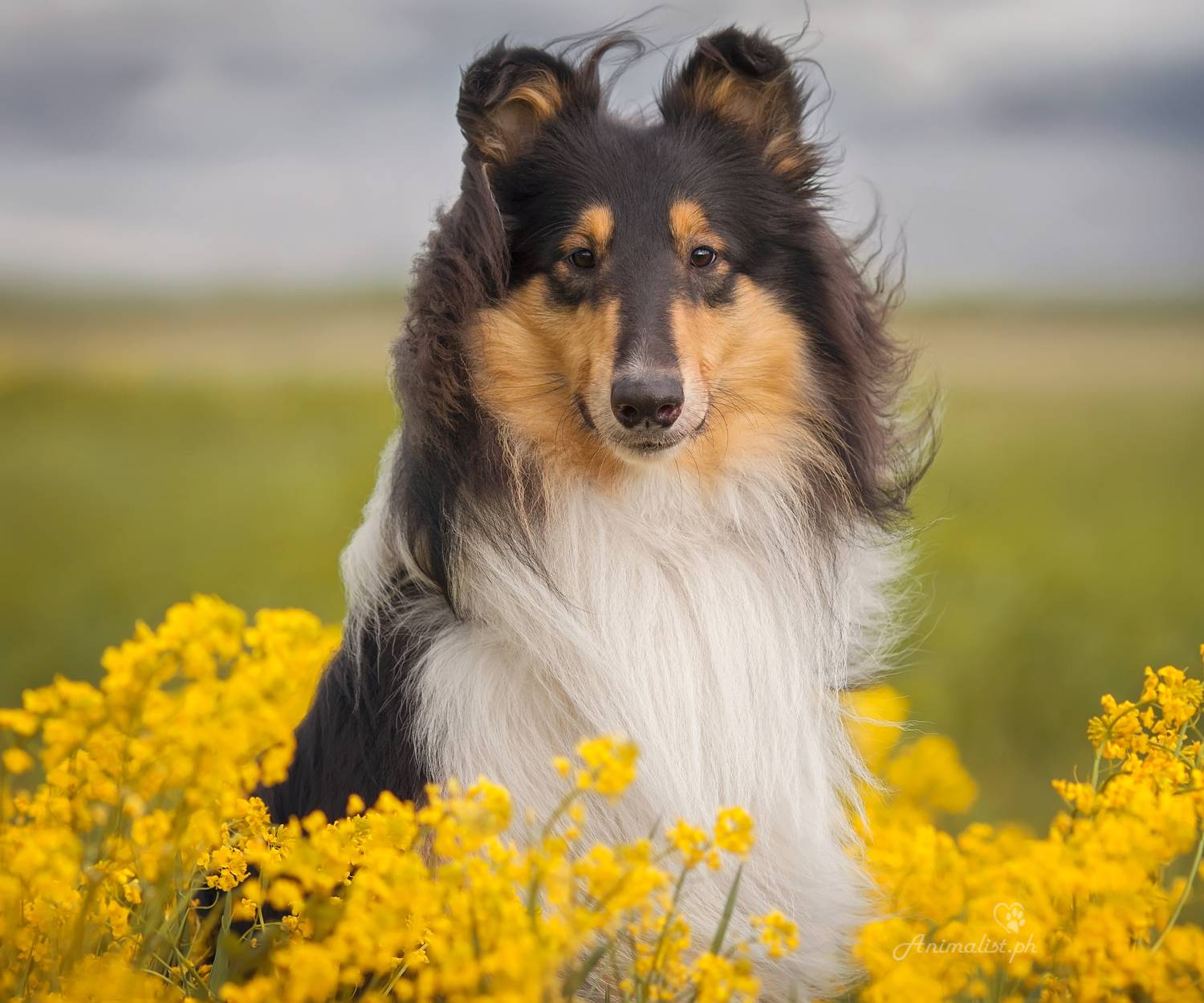 Фотография #7620538