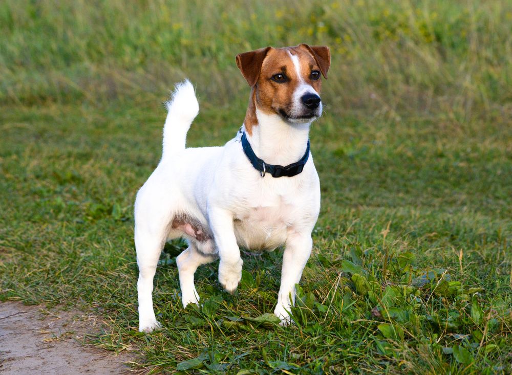 Photograph by Андрей Мозговой