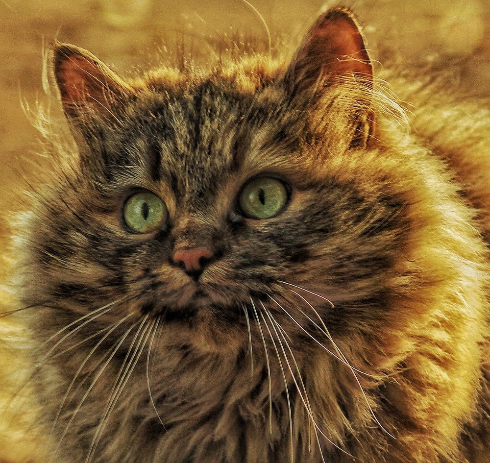 Photograph by Sergey Velichko