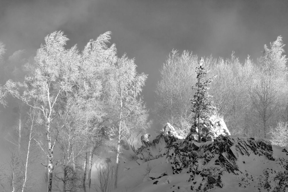 На горе Ежовой