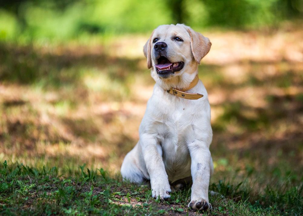 Photograph by Terēze Štube