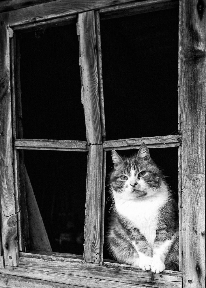 Photograph by Terēze Štube