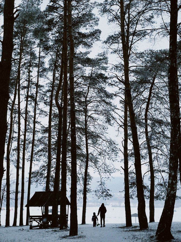 Photograph by Екатерина Газиянц