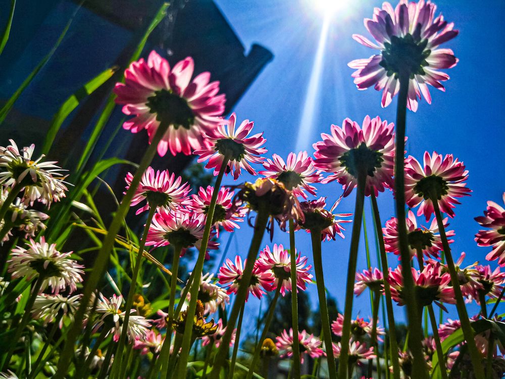 Photograph by Наталья