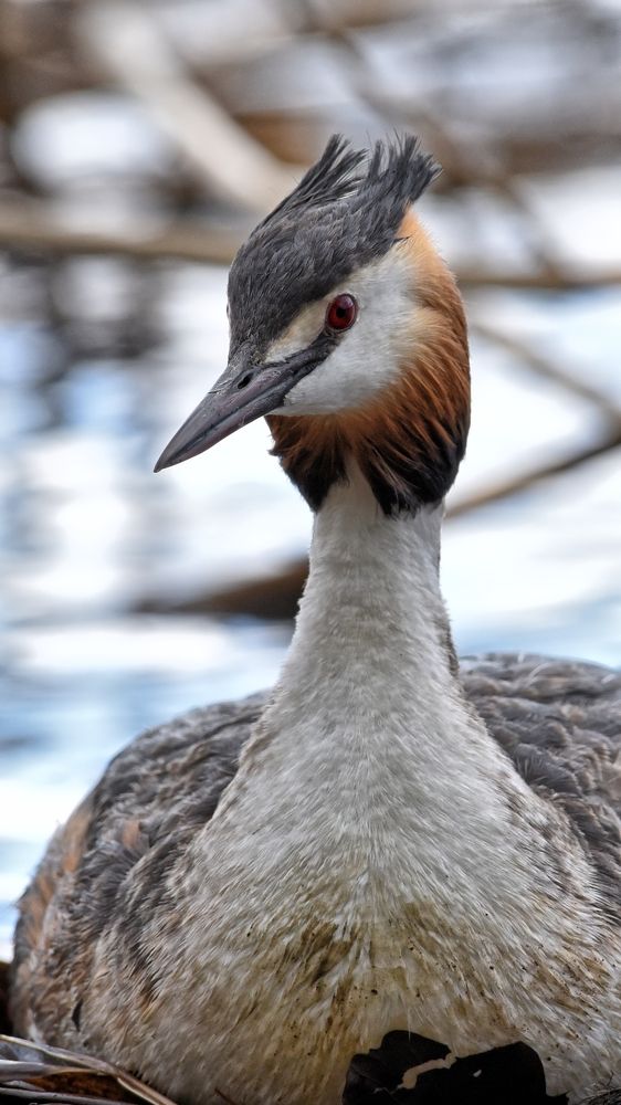 Photograph by Алексей Кузьмин