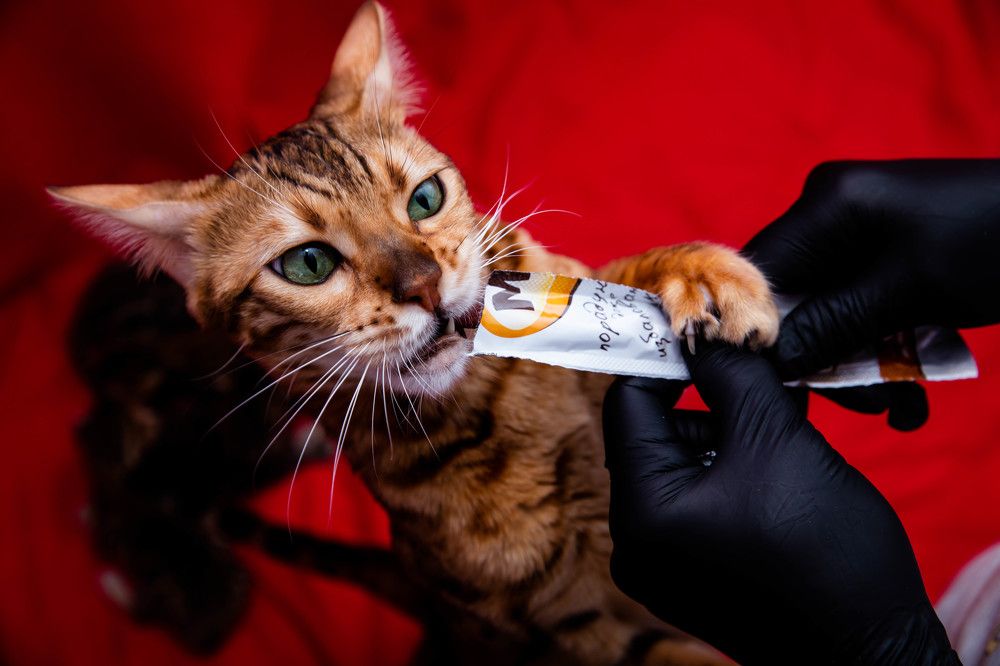 Photograph by Ландыш Фатхутдинова