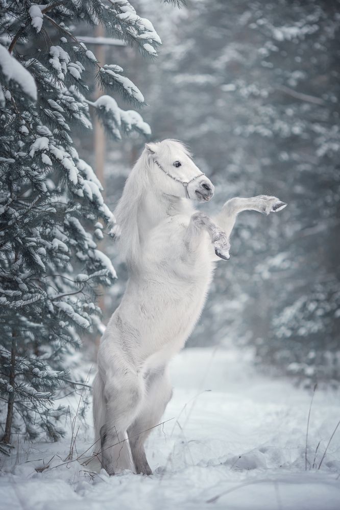 Photograph by Ирина Микульская