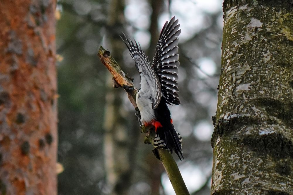 Photograph by Алексей Кузьмин