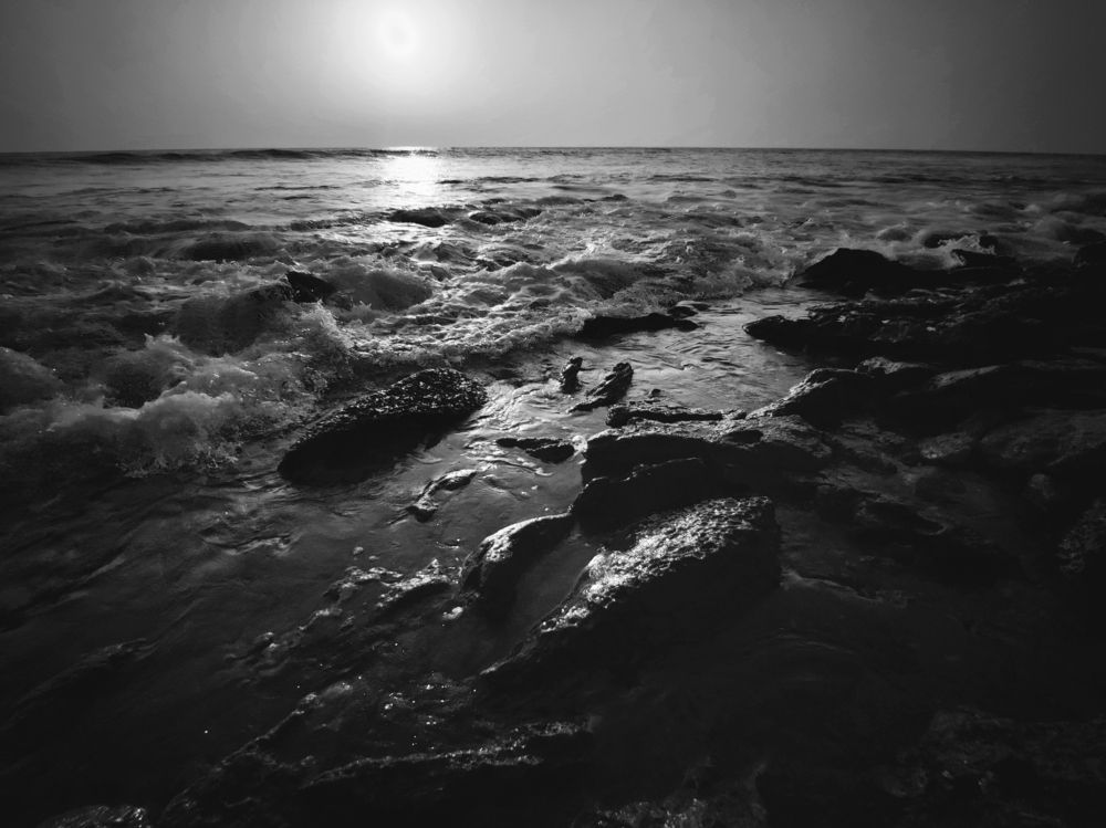 Photograph by Md. Shariful Islam Pavel