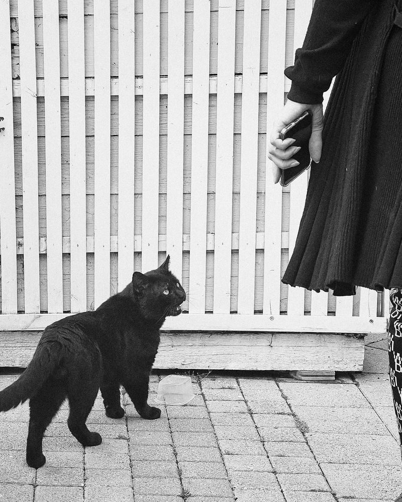 Photograph by Kholina Maria