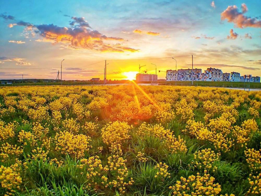 Photograph by Владимир Крылов
