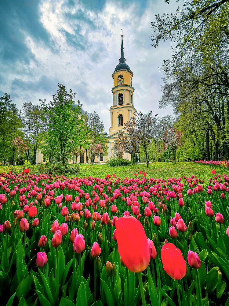 Photograph by Владимир Крылов
