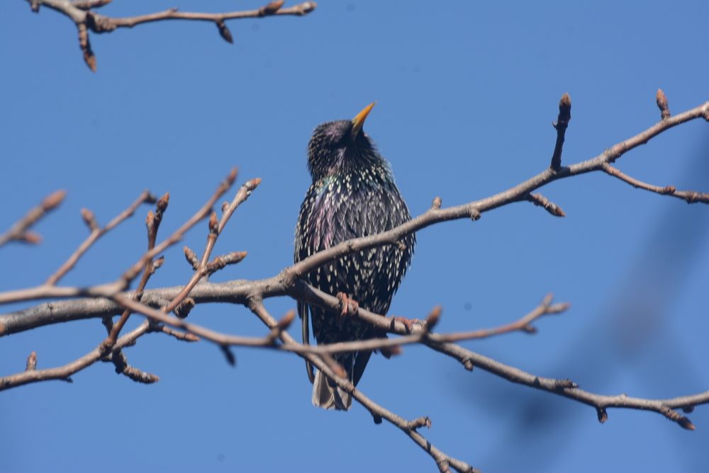 Photograph by Gülşen  Mutlu