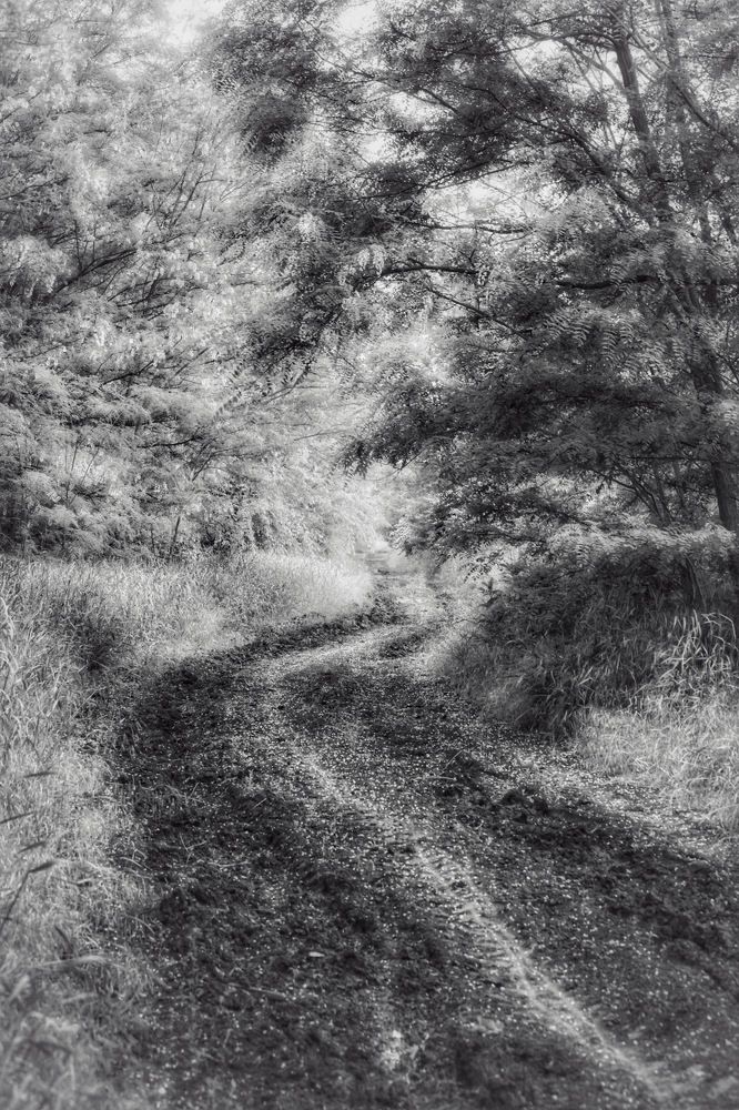 Photograph by Алексей Кроль